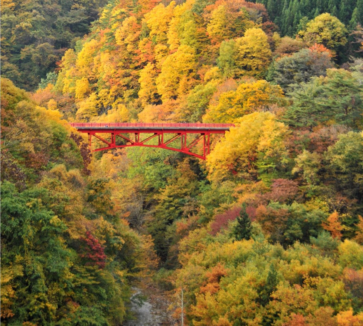 松川渓谷の紅葉